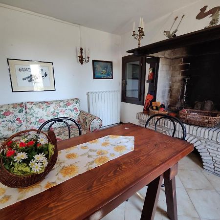 Ca Degli Aironi Villa Cittanova  Dış mekan fotoğraf